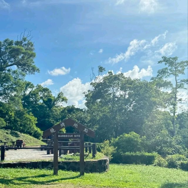 🌿清水灣公園呢片綠到發亮嘅草坪真係治癒到爆！