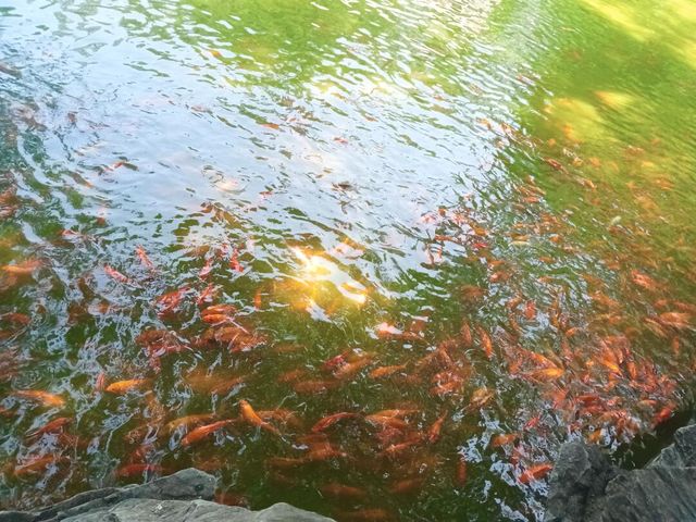 恭王府：一座宅院，半部清朝的故事