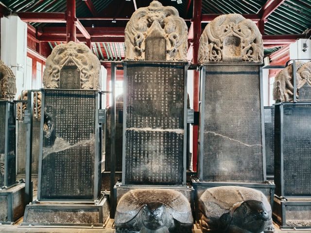 Unlock Xi’an’s Treasures with the Xi’an City Pass: Your Ultimate Travel Companion