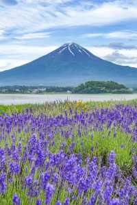 日本親子度假嘅天花板，好玩到唔想返屋企