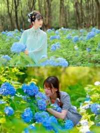 南昌鳳凰溝夏季「追花」全攻略！