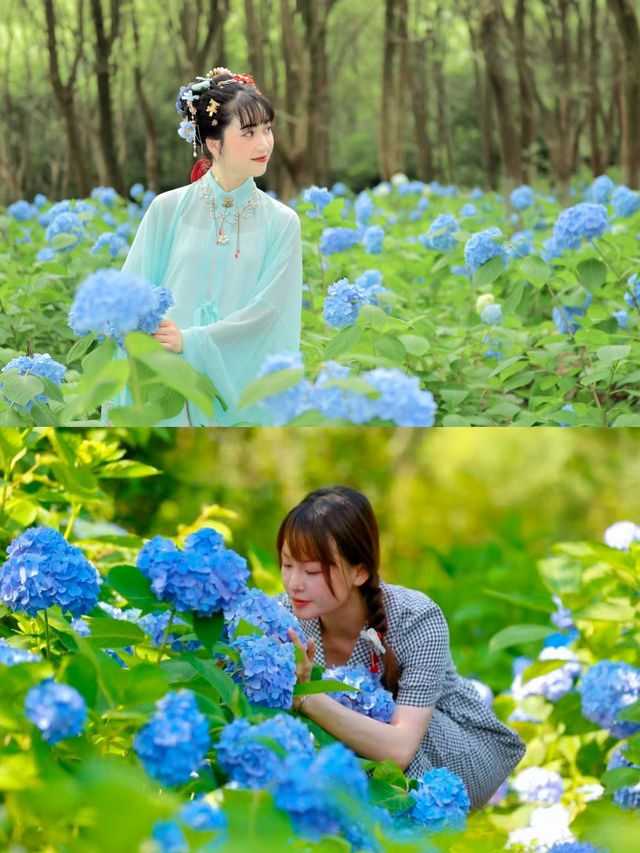 南昌鳳凰溝夏季「追花」全攻略！