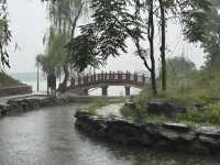 雨中圓明園：歷史與自然的私語