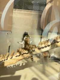 大連森林動物園高空漂流｜刺激到想喊媽！