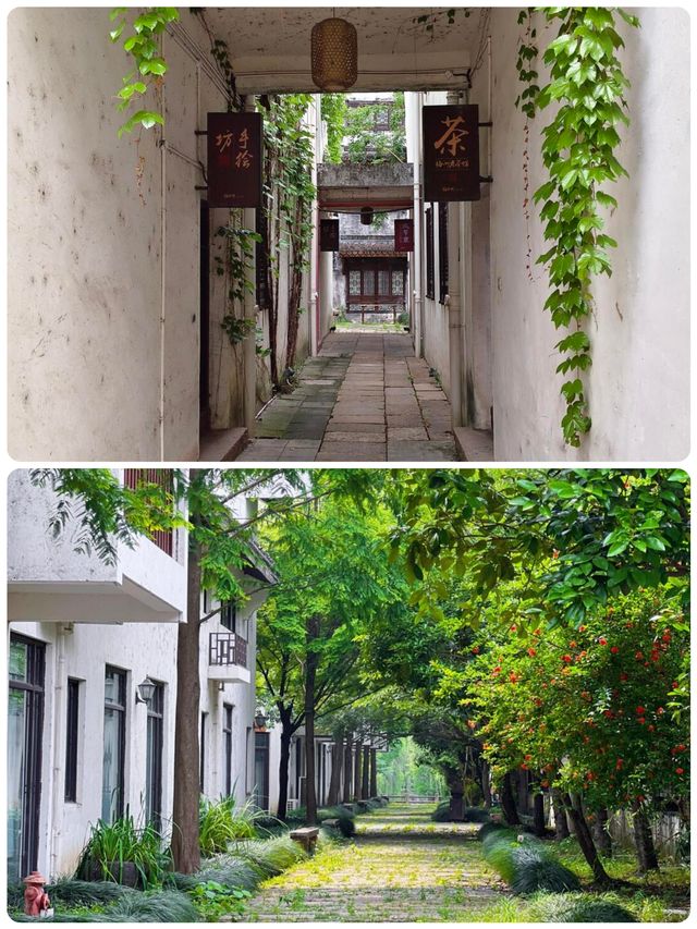 江南水鄉天花板！1500年的梅花洲，人少景絕！