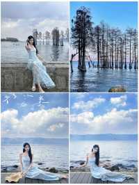打卡白鹿同款洱海