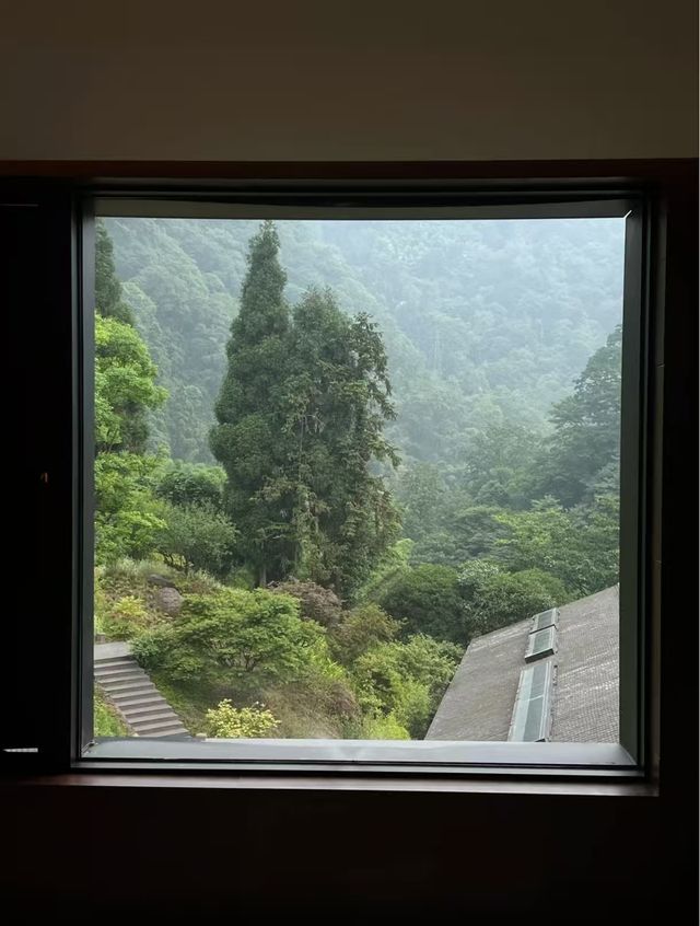 今年最期待的峨眉山避世酒店！