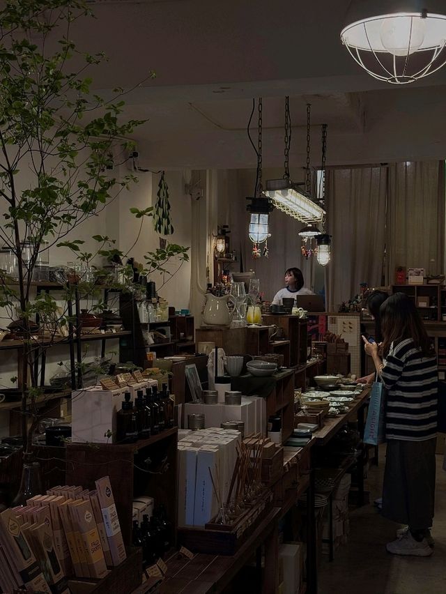 從香港出發到澳門日式雜貨咖啡店的跨境交通攻略 