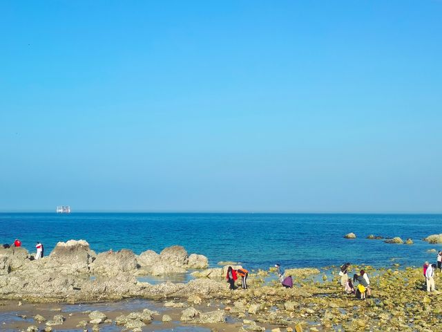 四月，我與養馬島果凍海嘅約會……
