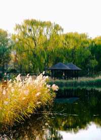 濟南森林公園 | 城市中的自然瑰寶
