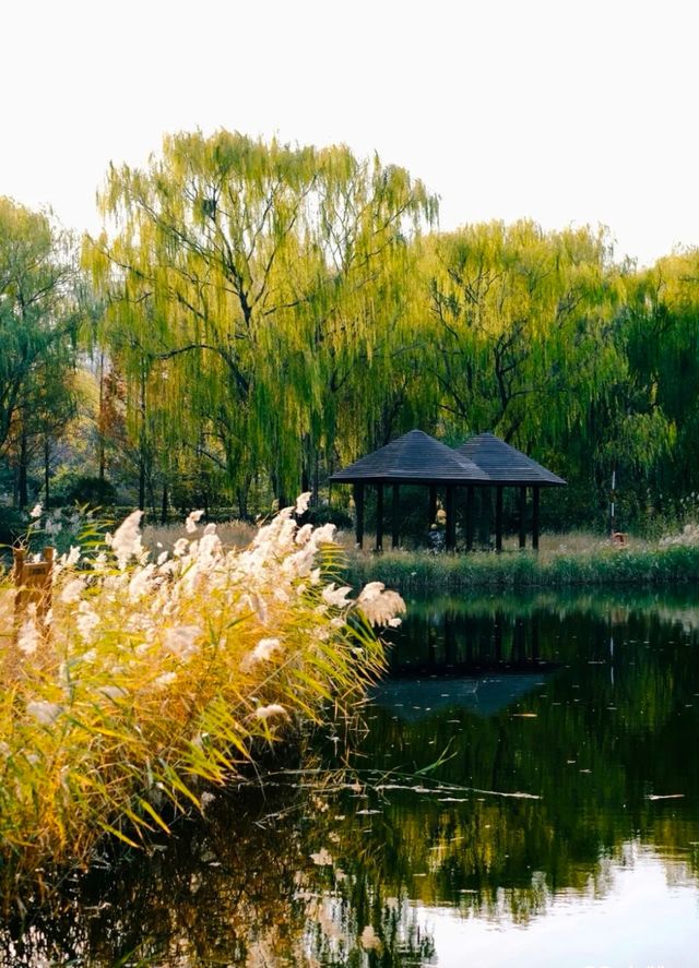 濟南森林公園 | 城市中的自然瑰寶