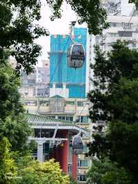 香港出發至澳門二龍喉公園跨境交通攻略 