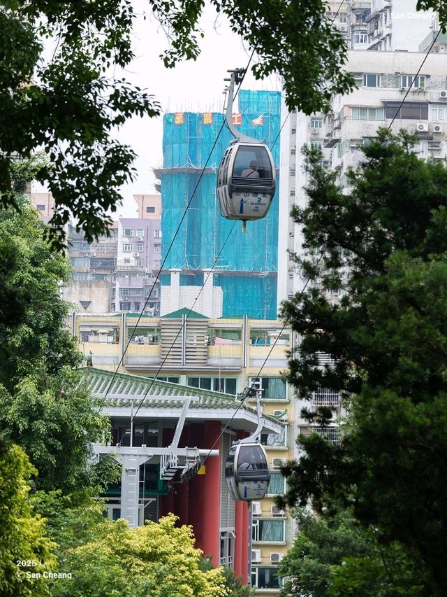 香港出發至澳門二龍喉公園跨境交通攻略 