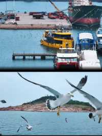 威海3天2晚攻略｜住這家民宿太省心！ · 威海怎麼玩最省心？​​答案：住三夢季​​ 以民宿為中心，