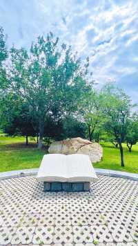 夏日暢遊煙台牟平沁水河口國家濕地公園