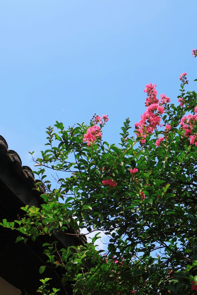 阆中浪漫棲居地|阆中花間堂酒店