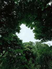 九龍寨城公園｜時空交錯的都市綠洲