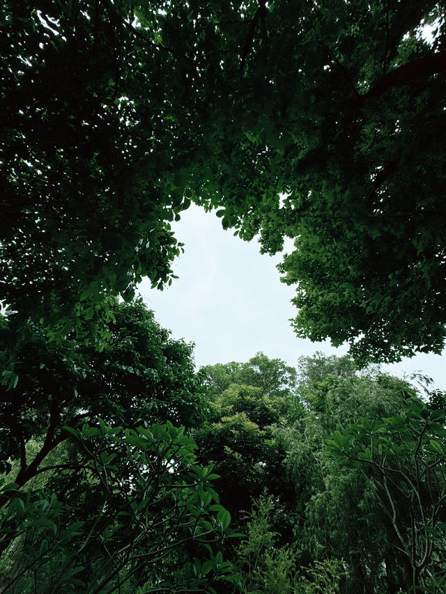 九龍寨城公園｜時空交錯的都市綠洲