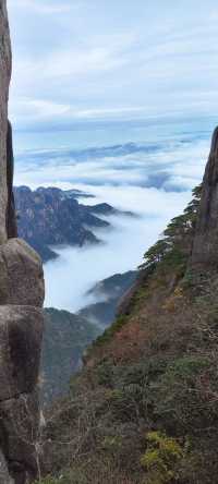 登一登黃山，睇迎客松