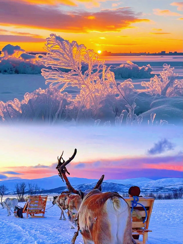 快啲收藏哈爾濱冰雪大世界夢幻冰雪館攻略啦