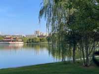 去咗4次雙塔公園，終於玩到明晒！