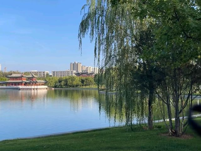 去咗4次雙塔公園，終於玩到明晒！