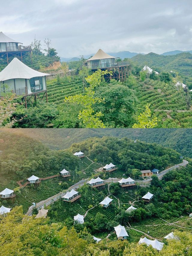 何家寨露營基地超全攻略，閉眼衝