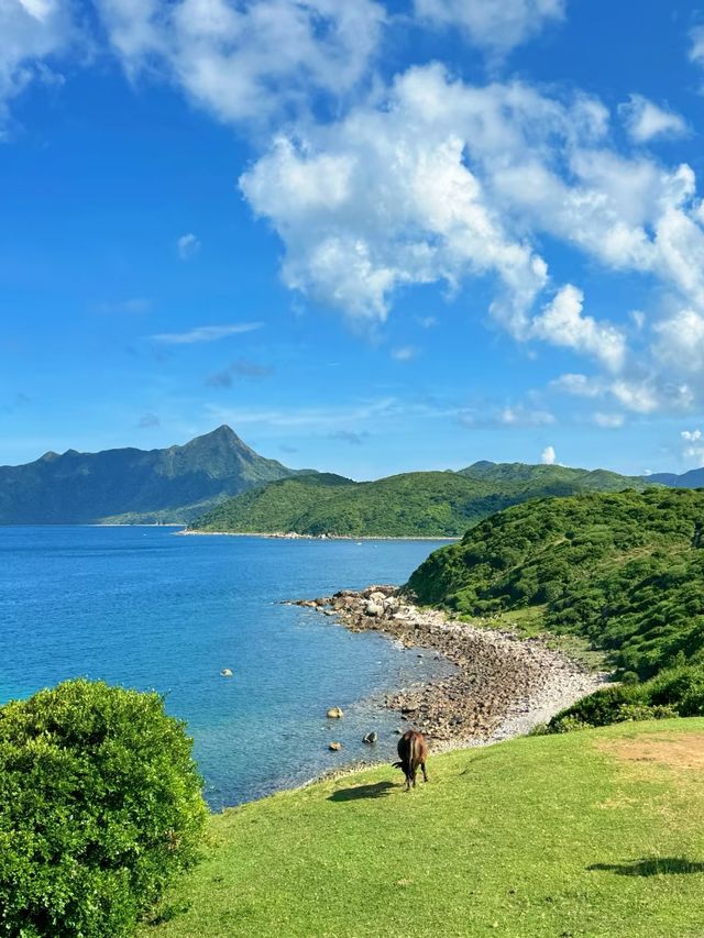 香港小眾秘境塔門島一日遊保姆級攻略