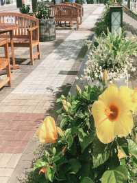大阪天保山港口村｜濱海風情與童趣樂園的完美邂逅】**    