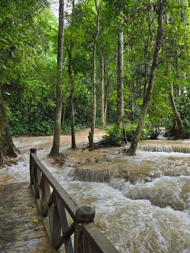 Kuang Si Waterfalls in the Rainy Season: Wild, Wet, Worth It