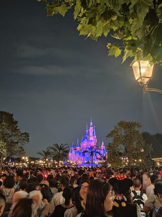 古都市民季夏魔都7日走心攻略