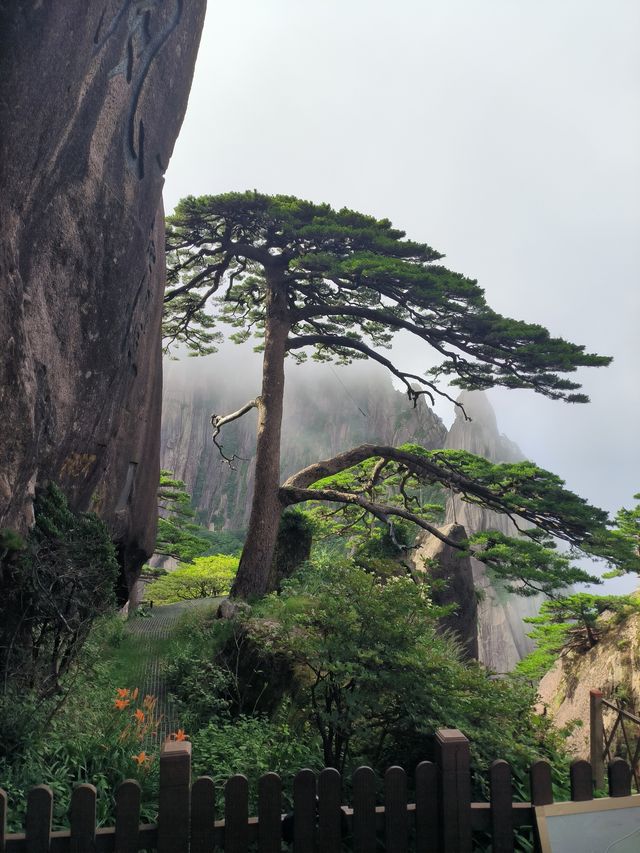 黃山旅遊攻略大概圖 黃山旅遊攻略大概圖