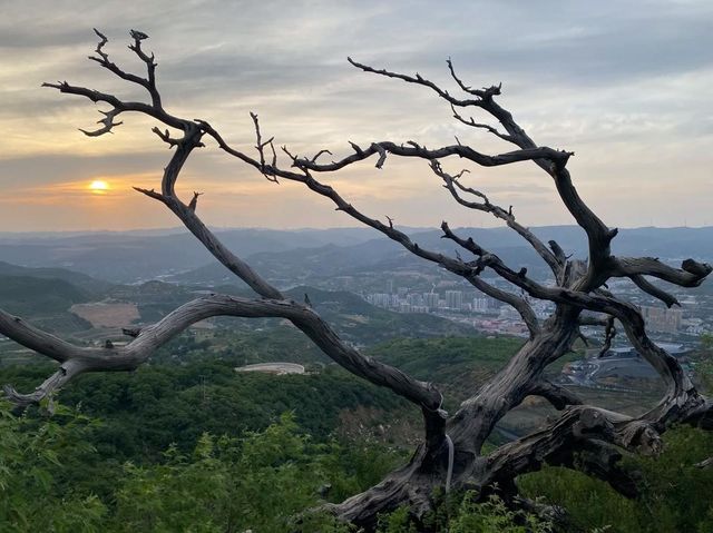 邊個識呀！陽泉藏住一個「天然氧吧+紅色地標」雙重加持嘅公園，影相好出片 各位寶貝！最近喺陽泉搵到個