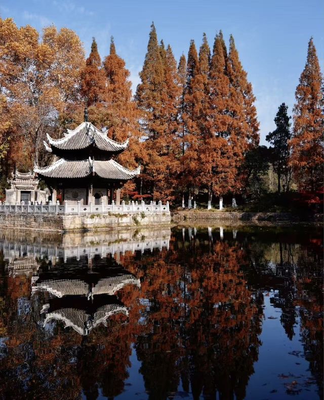 襄陽｜彩色秋天習家池