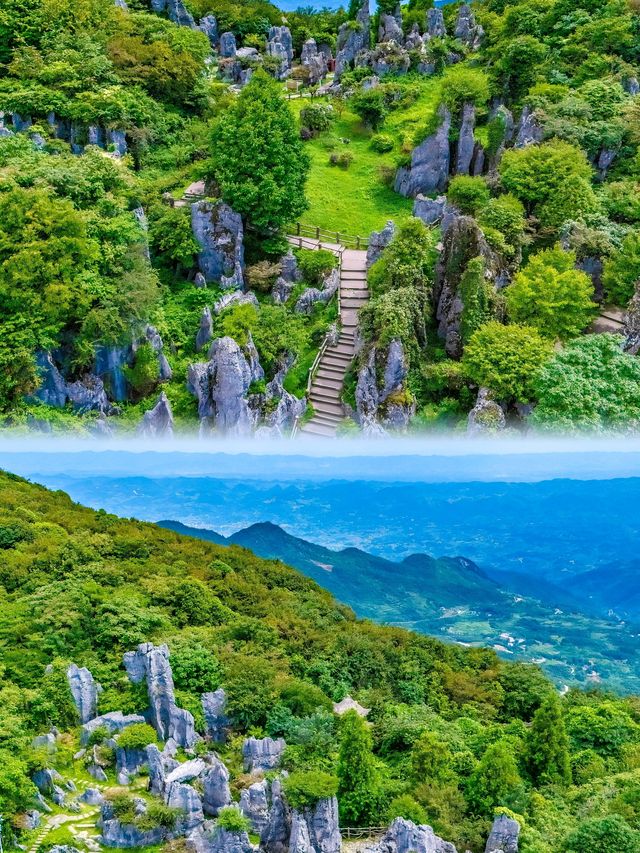 別擠川西了！川東這座紅岩小城，2天玩遍仙境湖、熊貓苑和童話谷