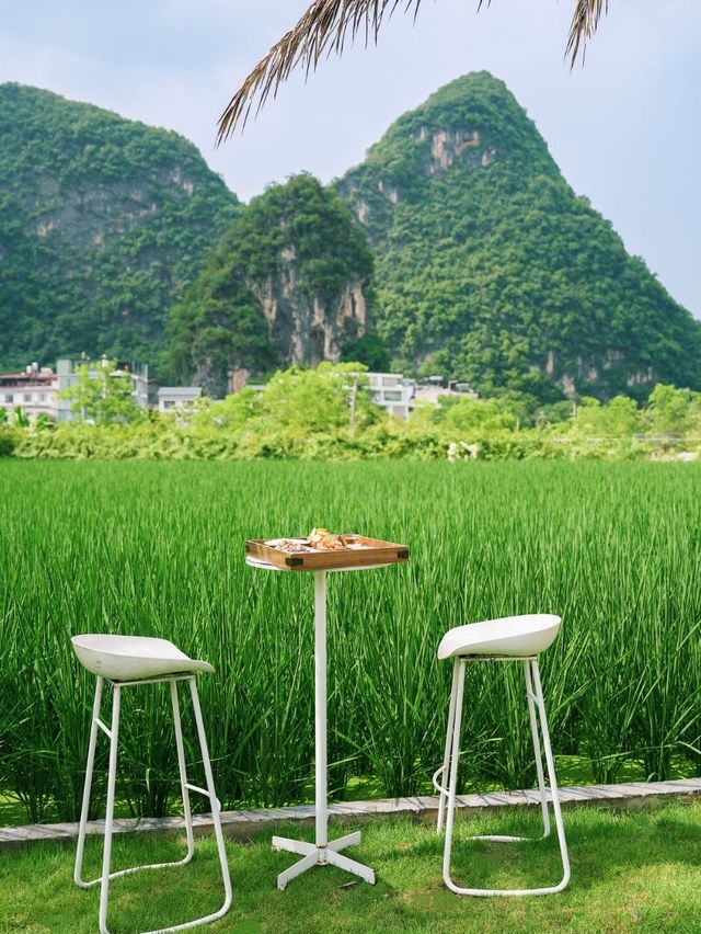 桂林陽朔｜稻田裡的隱秘花園治癒了我！！