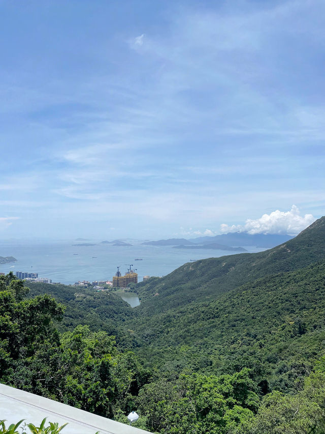 Hong Kong Panorama🏙️