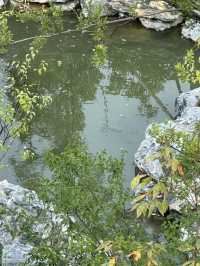 帶有溫泉設施的「陽澄湖悅柳大酒店」