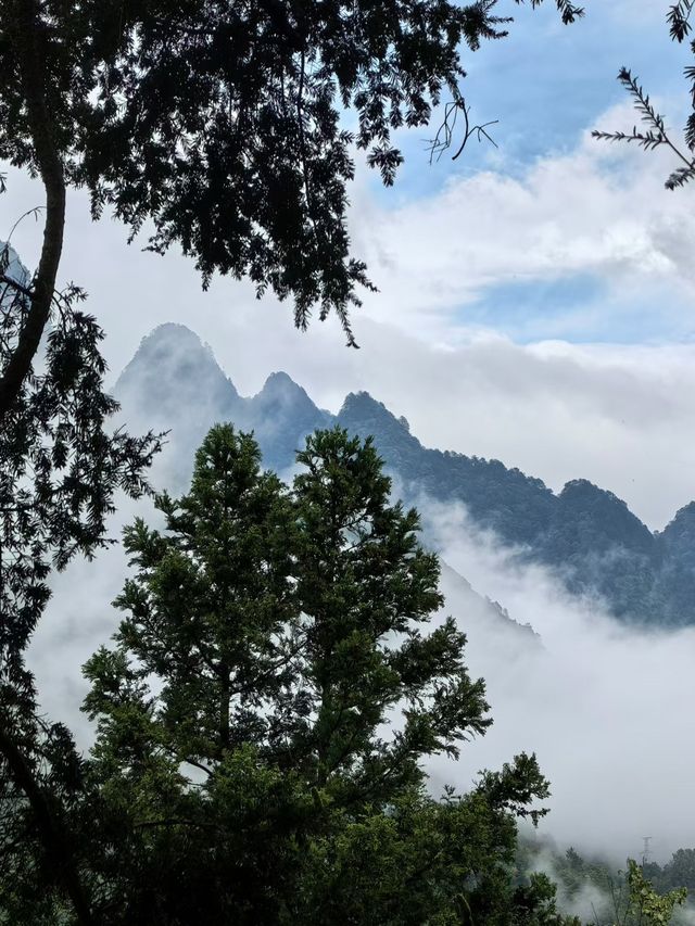 神農架雲海仙境指南