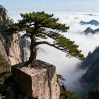 赴一場雲海之約!黃山3日深度攻略:解鎖“四絕”秘境與徽州煙火