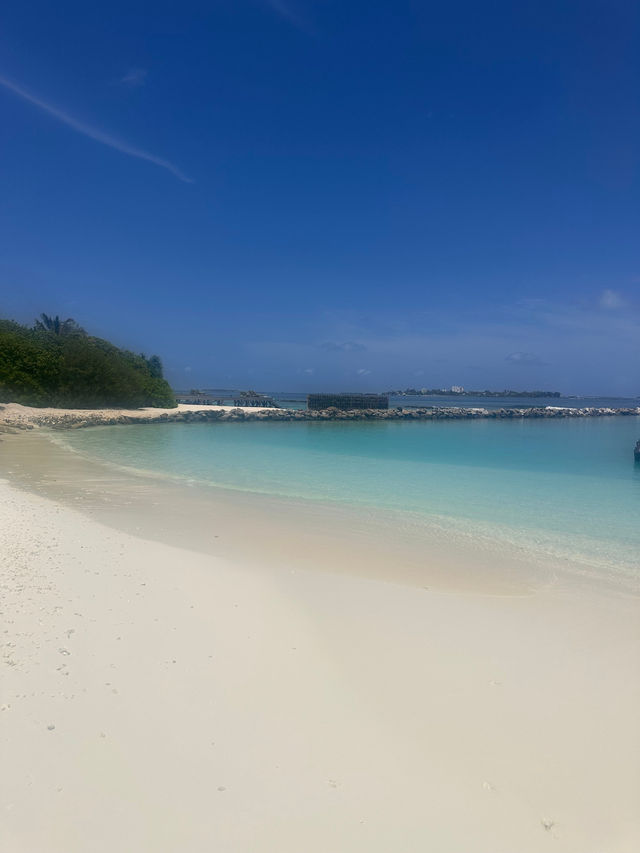 Top-tier Vacation Experience
