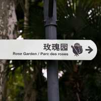 Rose Garden of Fuxing Park, Shanghai 🌿✨