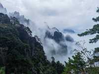 團結松，雨傘松，大王松皆迎客松