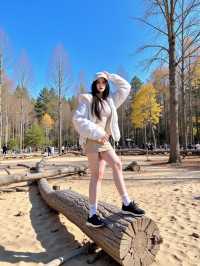 1.5小時直達絕美彩林！成都周邊這座秘境也太頂了