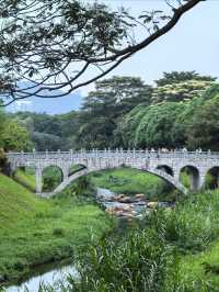 陰雨天の森系秘境