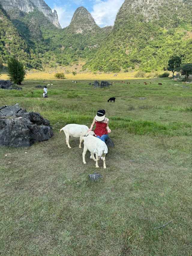 柳州鹿寨 廣西阿勒泰，無濾鏡直出，不踩雷!