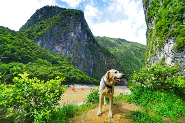 丙中落神秘霧裡村