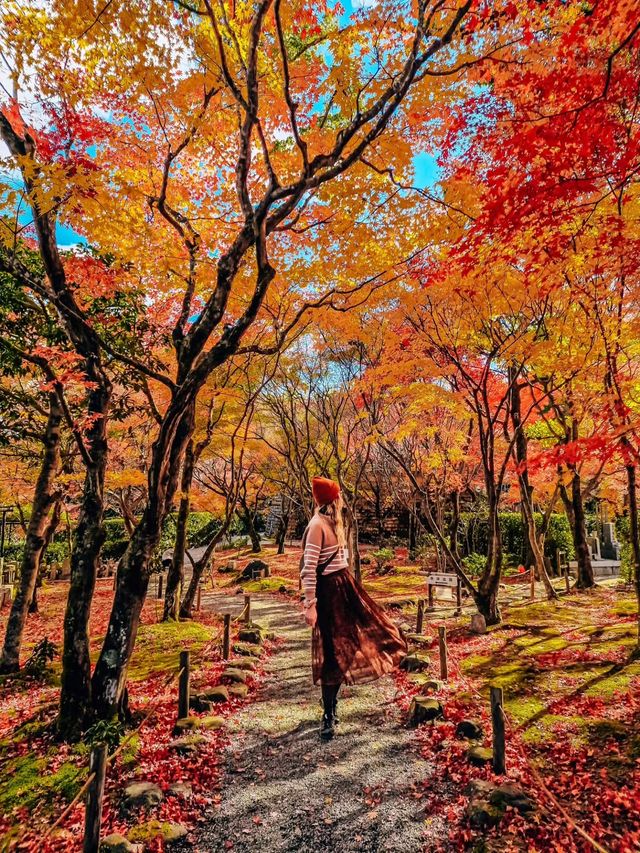 秋日京都物語，紅葉季也太美了