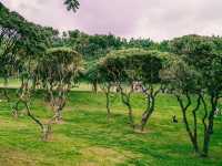 深圳中山公園｜陰雨天也能拍出超絕氛圍感！