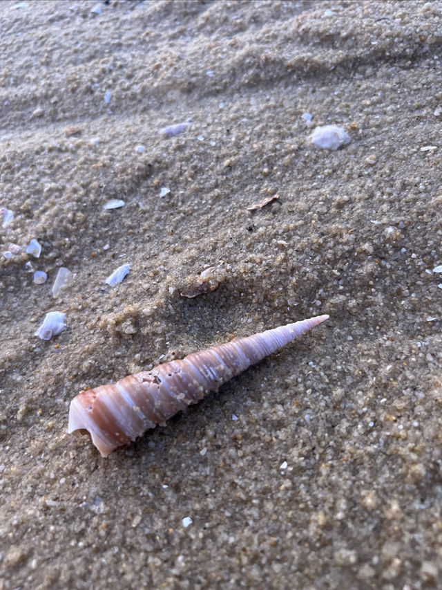 捧住太陽的浪漫時刻 捧住太陽的浪漫時刻